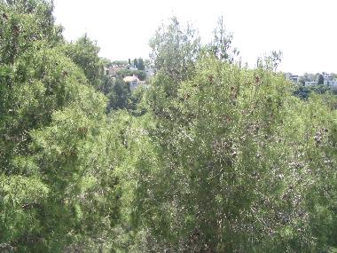 Apartamento de vacaciones en Haifa (Hefa (Haifa))Casa de vacaciones