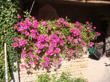 Casa de vacaciones en Arcenant (C�te-d