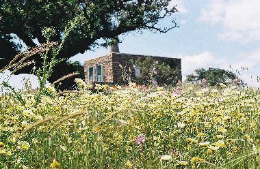 Casa de vacaciones en Kea (Kyklades)Casa de vacaciones