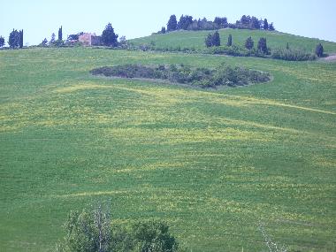 Apartamento de vacaciones en pienza monticchiello (Siena)Casa de vacaciones