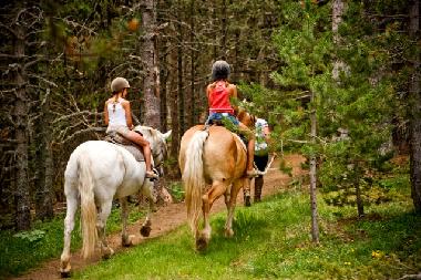 Apartamento de vacaciones en La Massana (La Massana)Casa de vacaciones