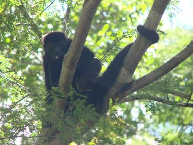 Cama y desayuno en Linderos (Guanacaste)Casa de vacaciones