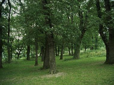 Casa de vacaciones en Belleserre (Tarn)Casa de vacaciones