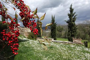 Casa de vacaciones en San Pancrazio (Firenze)Casa de vacaciones