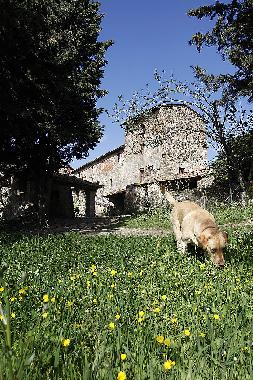 Casa de vacaciones en San Pancrazio (Firenze)Casa de vacaciones