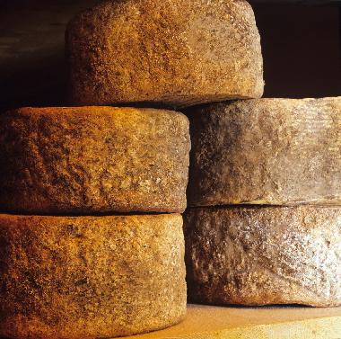 Apartamento de vacaciones en San Pancrazio (Firenze)Casa de vacaciones