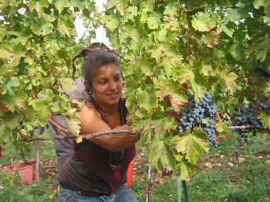 Apartamento de vacaciones en San Pancrazio (Firenze)Casa de vacaciones