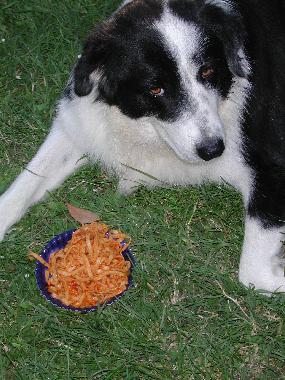 Apartamento de vacaciones en San Pancrazio (Firenze)Casa de vacaciones