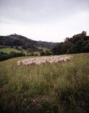 Apartamento de vacaciones en San Pancrazio (Firenze)Casa de vacaciones