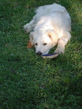 Casa de vacaciones en San Pancrazio (Firenze)Casa de vacaciones