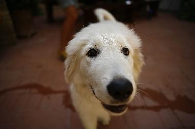 Apartamento de vacaciones en San Pancrazio  (Firenze)Casa de vacaciones