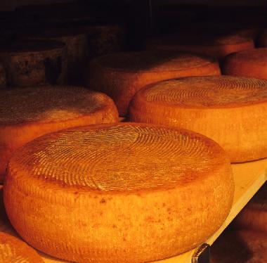 Apartamento de vacaciones en San Pancrazio  (Firenze)Casa de vacaciones