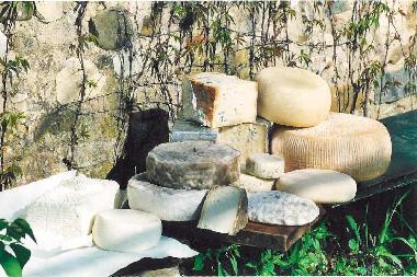 Apartamento de vacaciones en San Pancrazio  (Firenze)Casa de vacaciones