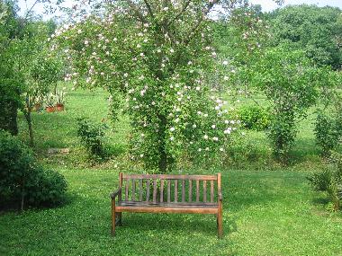 Apartamento de vacaciones en arqu� petrarca (Padova)Casa de vacaciones