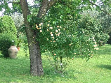 Apartamento de vacaciones en arqu� petrarca (Padova)Casa de vacaciones