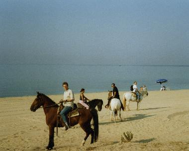 Casa de vacaciones en Maruggio (Taranto)Casa de vacaciones