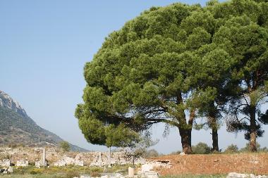 Casa de vacaciones en Akyaka - Gkova (Mugla)Casa de vacaciones