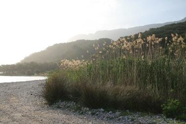 Casa de vacaciones en Akyaka - Gkova (Mugla)Casa de vacaciones