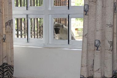 Casa de vacaciones en Marloth Park (Mpumalanga)Casa de vacaciones