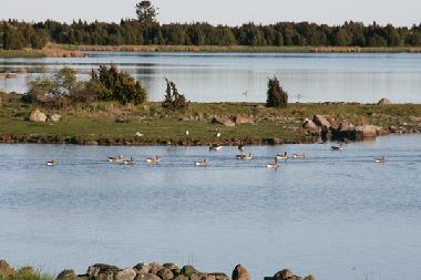 Apartamento de vacaciones en S�der�kra (Smaland)Casa de vacaciones