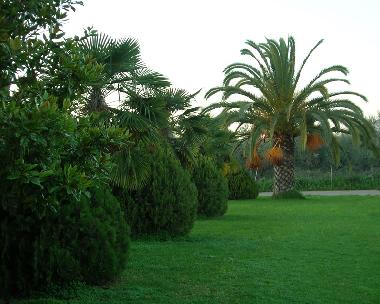 Apartamento de vacaciones en Zacharo (Ileia)Casa de vacaciones