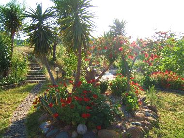 Casa de vacaciones en Hanioti (Chalkidiki)Casa de vacaciones