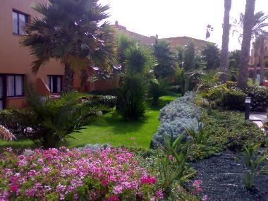 Apartamento de vacaciones en Corralejo (Fuerteventura)Casa de vacaciones