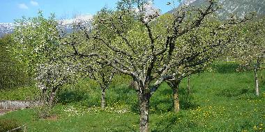Apartamento de vacaciones en Bovec (Bovec)Casa de vacaciones