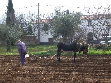 Cama y desayuno en Monsaraz (Alto Alentejo)Casa de vacaciones