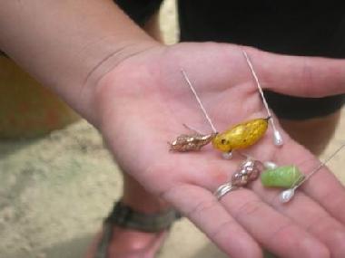 Apartamento de vacaciones en Oranjestad (Aruba)Casa de vacaciones