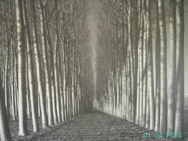 Chalet en El Puerto de Santa Mara (Cdiz)Casa de vacaciones