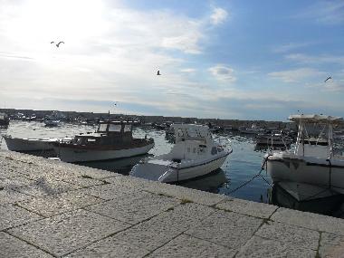 Casa de vacaciones en FaZANA (Istarska)Casa de vacaciones