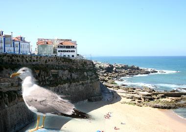 Apartamento de vacaciones en Ericeira (Grande Lisboa)Casa de vacaciones