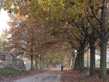 Apartamento de vacaciones en Lucca (Lucca)Casa de vacaciones