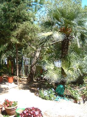 Apartamento de vacaciones en Tarragona, Playa de La Mora (Tarragona)Casa de vacaciones