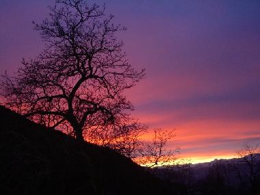 Chalet en Roveda (Trento)Casa de vacaciones