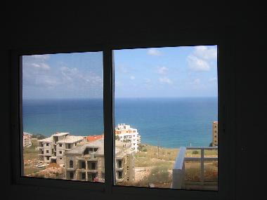 Vista desde la ventana