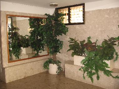 Apartamento de vacaciones en Netanya (HaMerkaz (Central))Casa de vacaciones