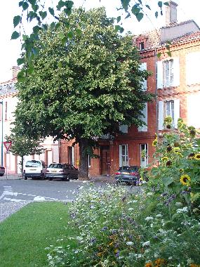 Apartamento de vacaciones en Moissac (Tarn-et-Garonne)Casa de vacaciones