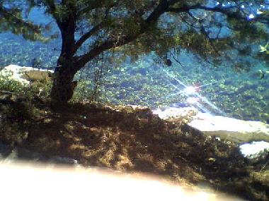 Apartamento de vacaciones en Povlja (Splitsko-Dalmatinska)Casa de vacaciones