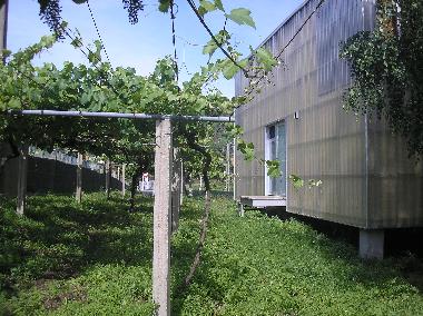 Casa de vacaciones en Padri��n (Pontevedra)Casa de vacaciones