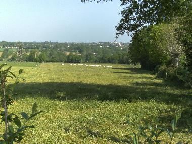 Cama y desayuno en Courlay (Deux-S�vres)Casa de vacaciones