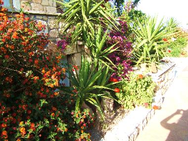 Casa de vacaciones en Hanioti (Chalkidiki)Casa de vacaciones