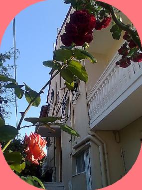 Apartamento de vacaciones en Agios Gordios-Kerkyra (Kerkyra)Casa de vacaciones