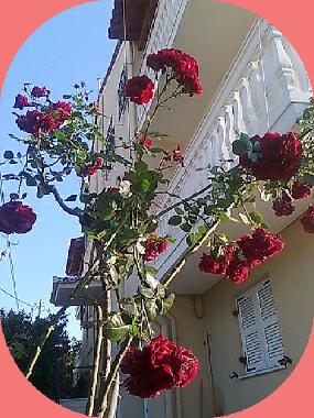 Apartamento de vacaciones en Agios Gordios-Kerkyra (Kerkyra)Casa de vacaciones