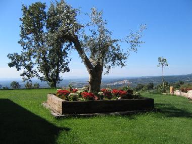 Casa de vacaciones en CANDELEDA-EL RASO (vila)Casa de vacaciones