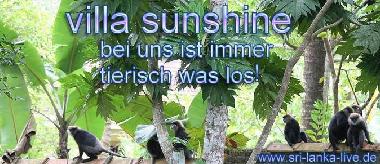 Cama y desayuno en Ahangama (Galle)Casa de vacaciones