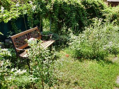 Apartamento de vacaciones en Zellerndorf (Weinviertel)Casa de vacaciones