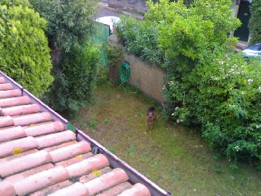 Casa de vacaciones en Ardea (Roma)Casa de vacaciones
