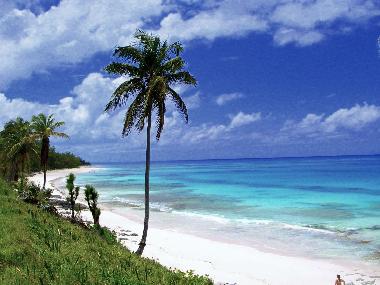 Apartamento de vacaciones en Palmetto Point (Governor